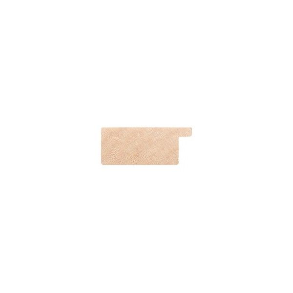 ENCADREMENT ( SANS VERRE ) ROSE TEINTE SUR BOIS (SECTION CADRE : 50-20 (L X H mm)) Eurobaguette 2 - Colorart 