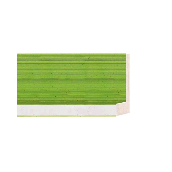 ENCADREMENT ( SANS VERRE ) CAISSE AMERICAINE VERT/ARGENT (SECTION CADRE : 55-43 (L X H mm)) Eurobaguette 1 - Colorart 