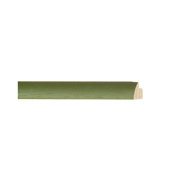 ENCADREMENT ( SANS VERRE ) "COCCINELLE" VERT (SECTION CADRE : 15-20 (L X H mm)) Eurobaguette 1 - Colorart 