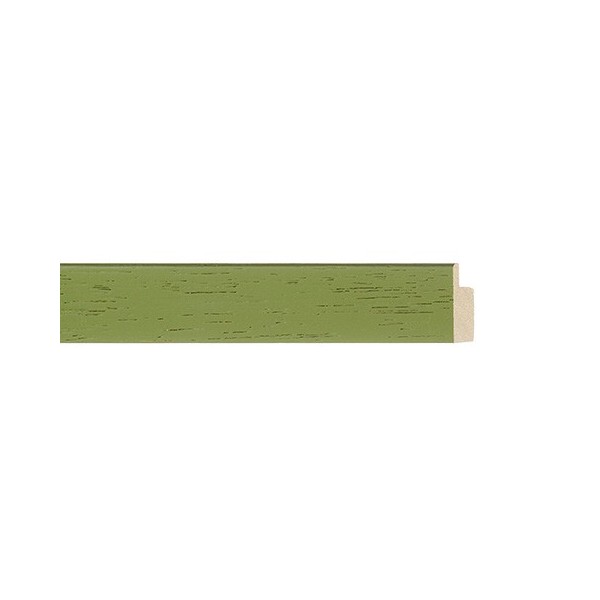 ENCADREMENT ( SANS VERRE ) "FOURMI" VERT (SECTION CADRE : 20-13 (L X H mm)) Eurobaguette 1 - Colorart 